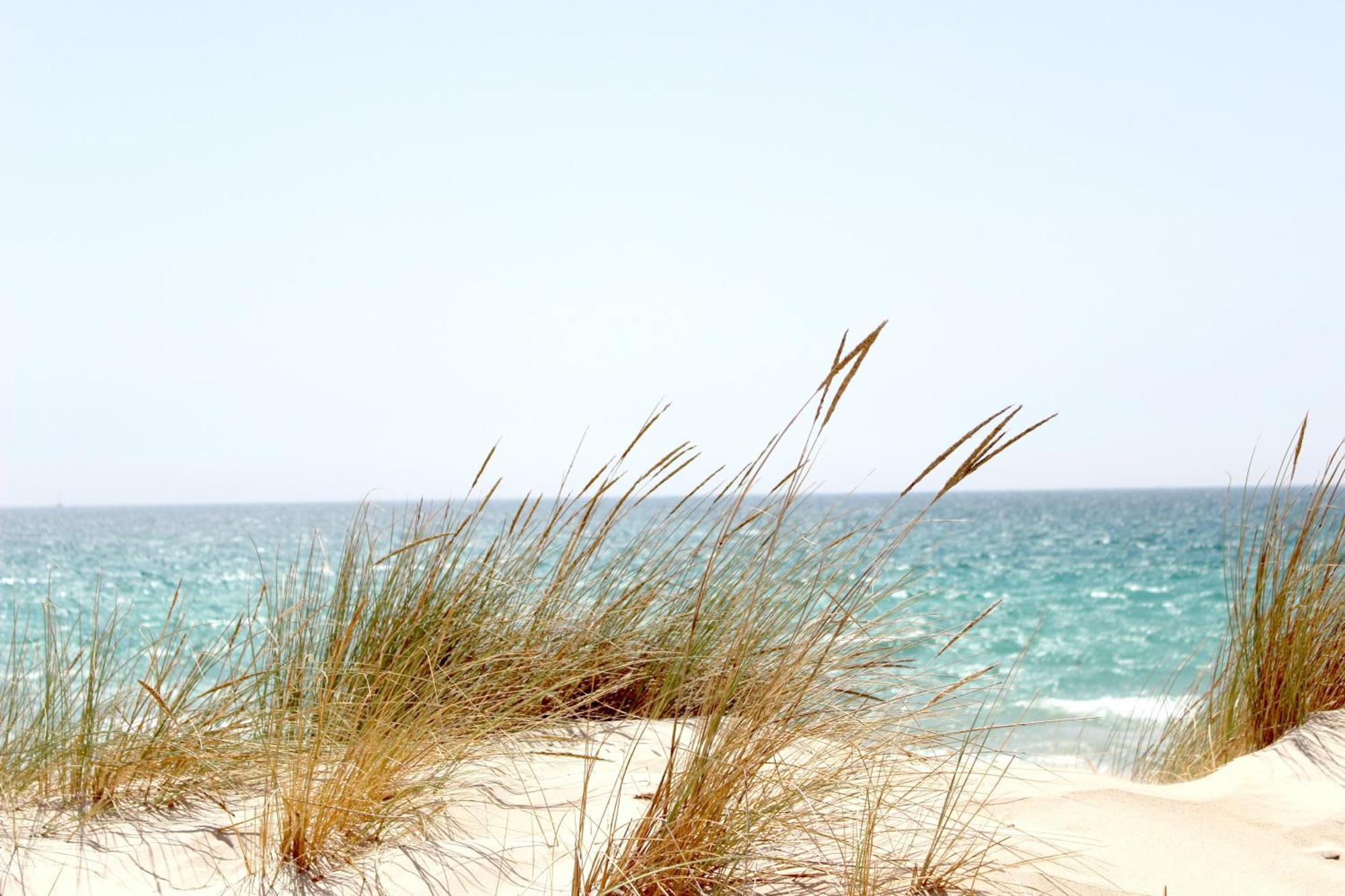 Ocean Sands Beach Inn (Adults Only) Saint Augustine Eksteriør billede