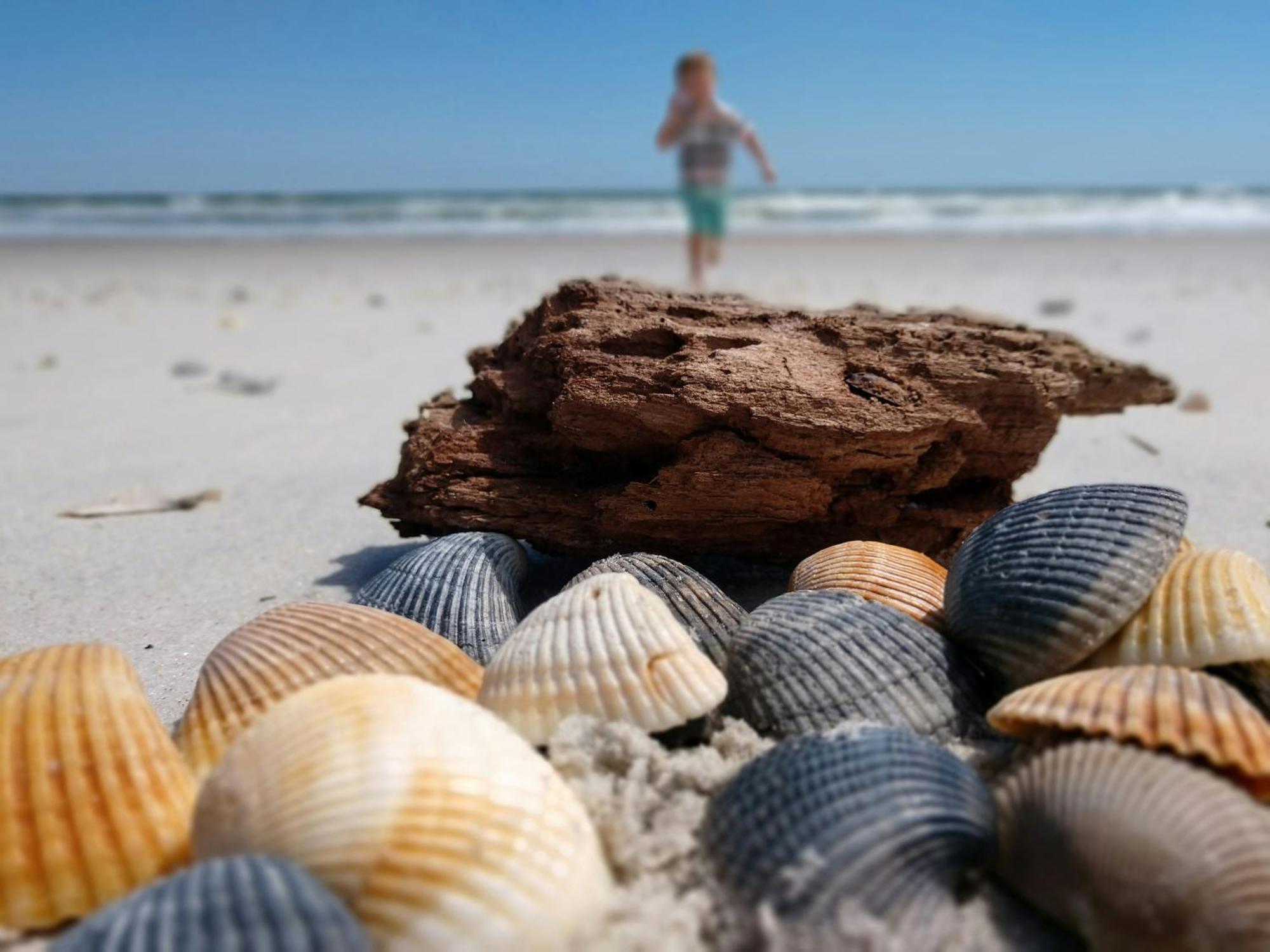 Ocean Sands Beach Inn (Adults Only) Saint Augustine Eksteriør billede